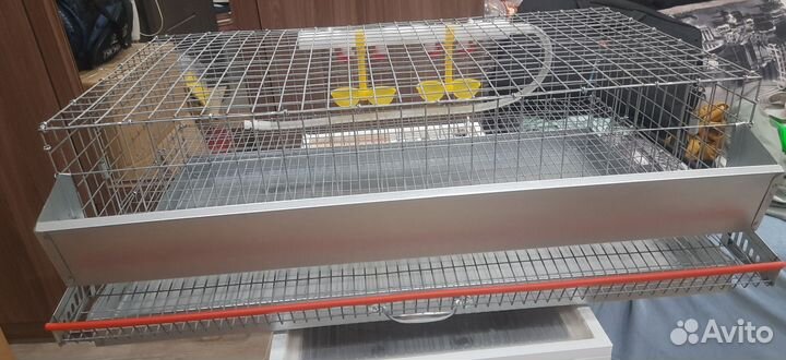 Клетка для перепелов, цыплят