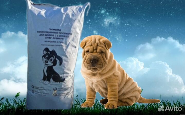 Сухой корм супер-премиум класса для собак/щенков