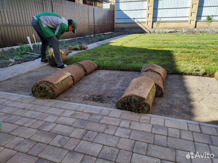Купить рулонный газон