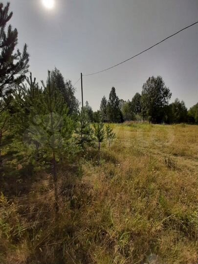 Участок 11,5 сот. (СНТ, ДНП)