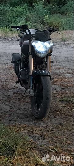 Stels flame 200