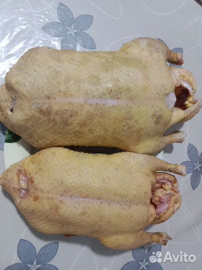 Мясо уток