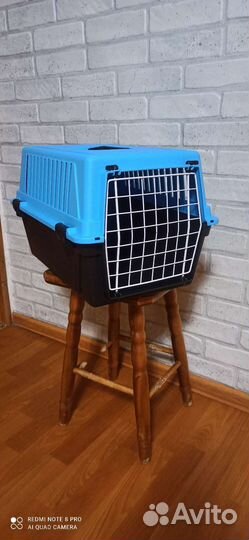 Аренда переноски для собак