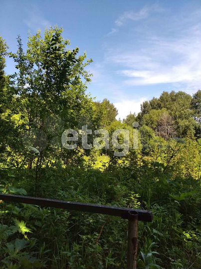 Участок 9,8 сот. (СНТ, ДНП)