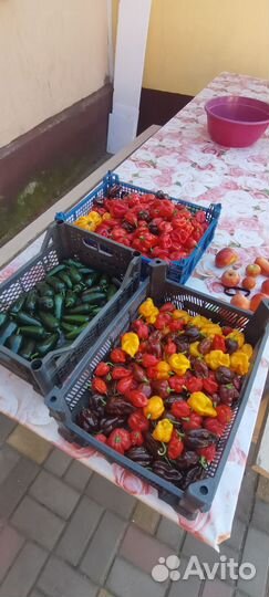 Крафтовый острый кетчуп из перцев чили