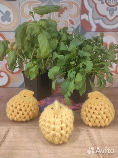 Декор для яиц, Пасха, цыпленок