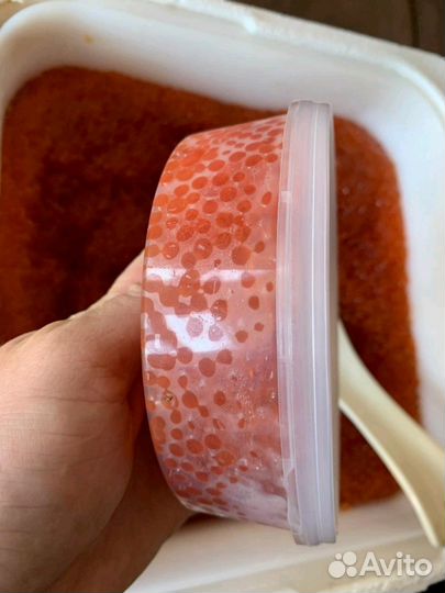 2023оптом Красная Икра 2023