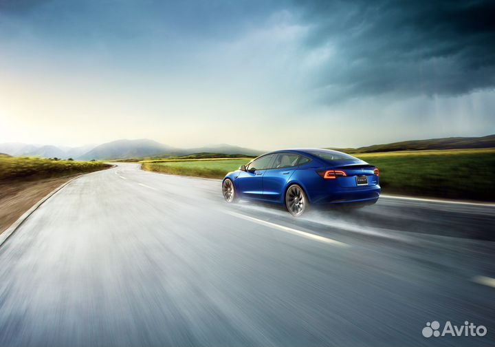 Приглашаем инвестора в Tesla Club