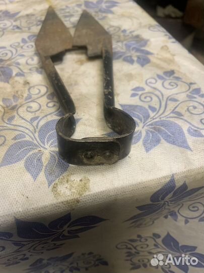 Ножницы для стрижки овец