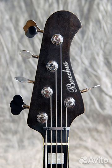 Bacchus Woodline Ash 5 Japan 2010 бас-гитара