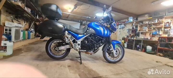 Triumph tiger 955i
