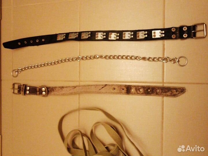 Строгий ошейник