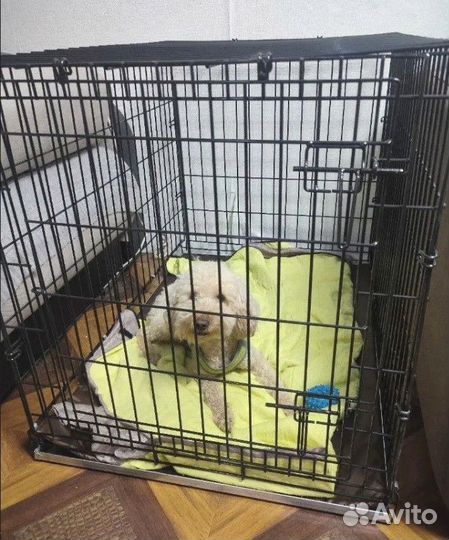 Клетки для небольших собак №3