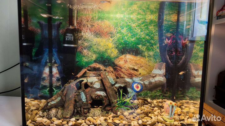 Аквариум 40л