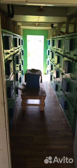 Павильон для пчел