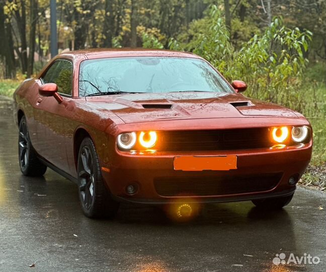 Аренда musclecar Dodge challenger