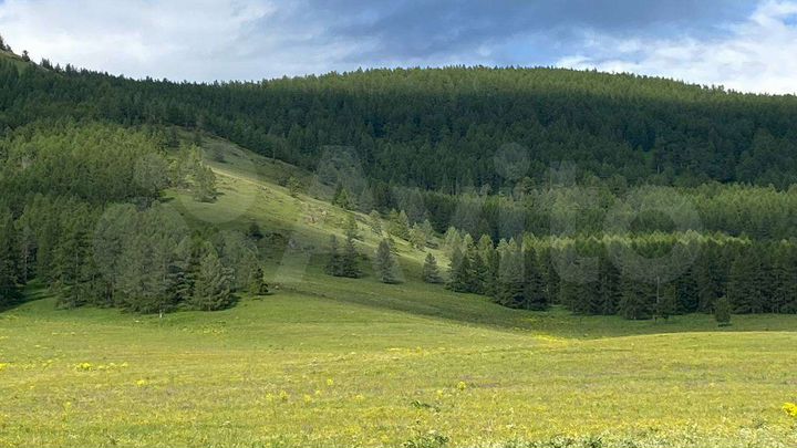 Участок 8,4 га (ИЖС)