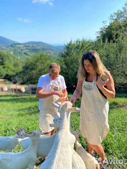 Голубая лагуна + Экоферма / Тур Экскурсия