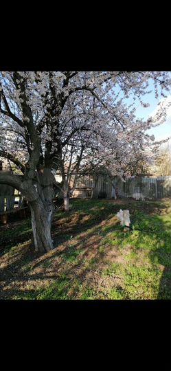 Дом 58,7 м² на участке 14,6 сот.