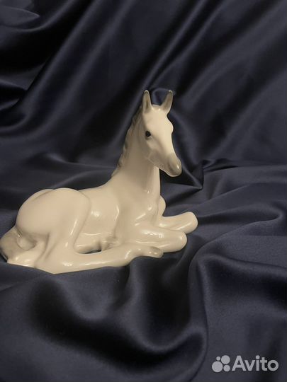 Жеребенок лфз