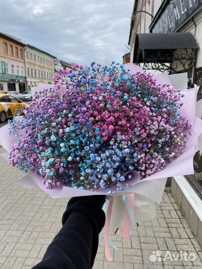 Цветная гипсофила