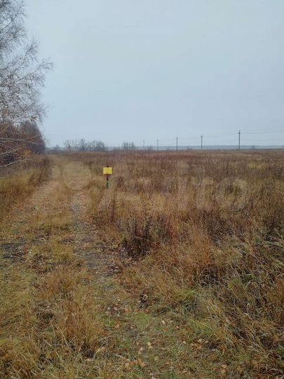 Участок 13 сот. (ИЖС)