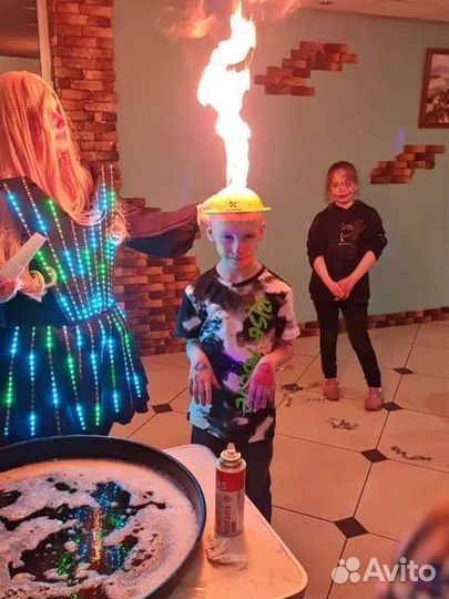 Аниматор ведущая без посредников