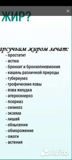 Барсучий жир