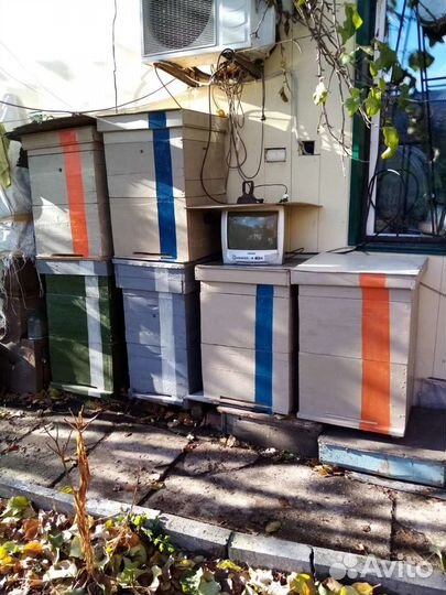 Продам пчелиные улья