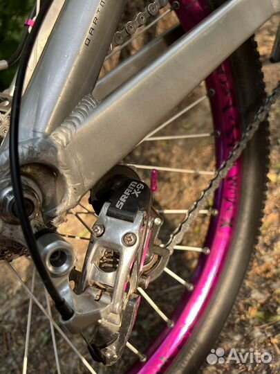 Dartmoor shine 2011 (12 ростовка)