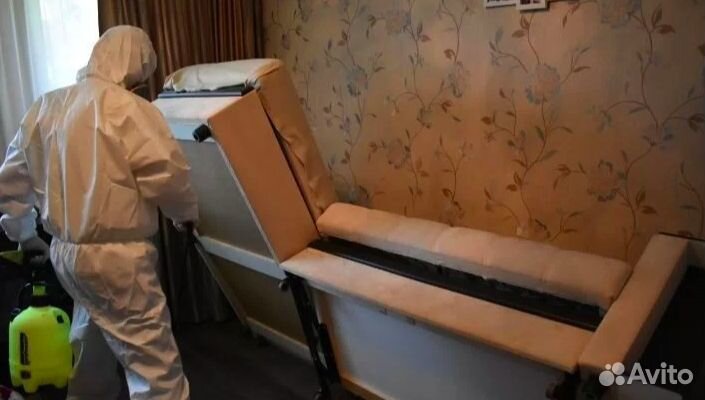 Дезинфекция уничтожение тараканов клопов блох клещ