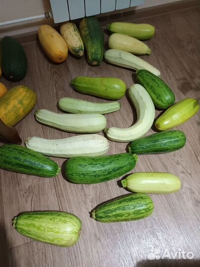 Кабачки