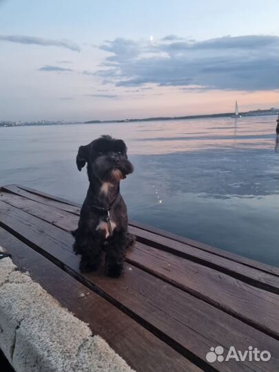 Кабель для вязки (Морки)