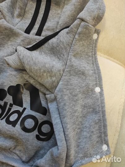 Костюм для собаки