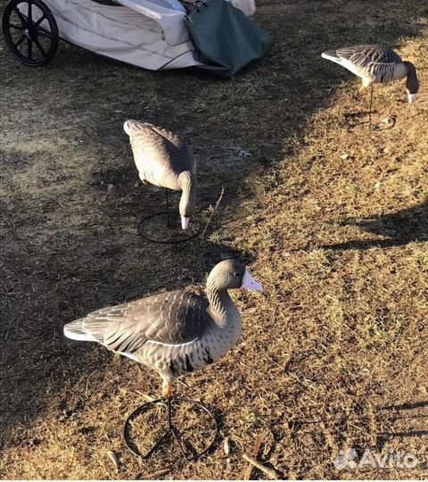 Полнокорпусные чучела гуся Greenhead Gear