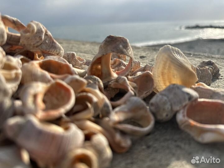 Фото видео съёмка