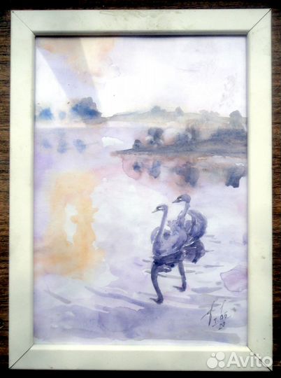 Картины, Фотографии в рамке