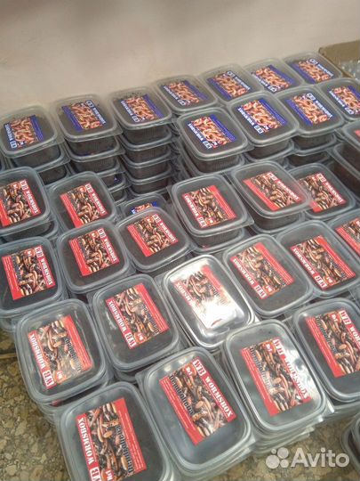 Черви дендробена