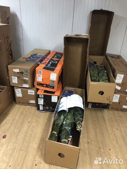 Розы Эквадор