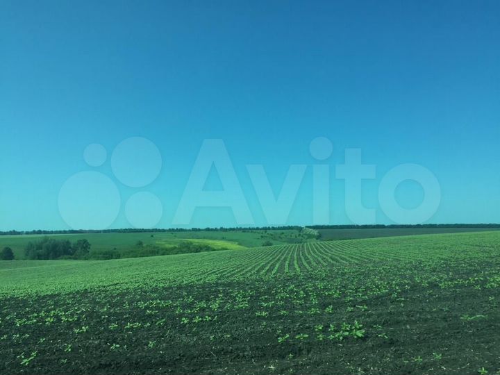 Участок 700 га (СНТ, ДНП)