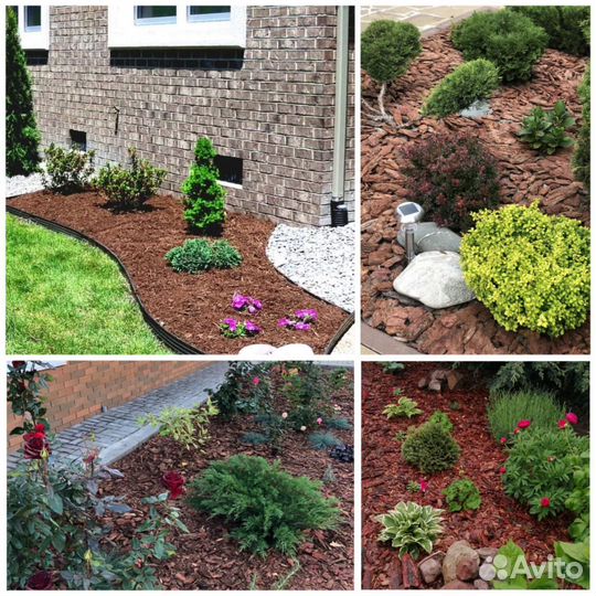 Кора лиственницы В наличии