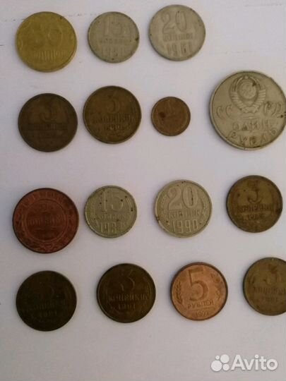 Хобби и отдых