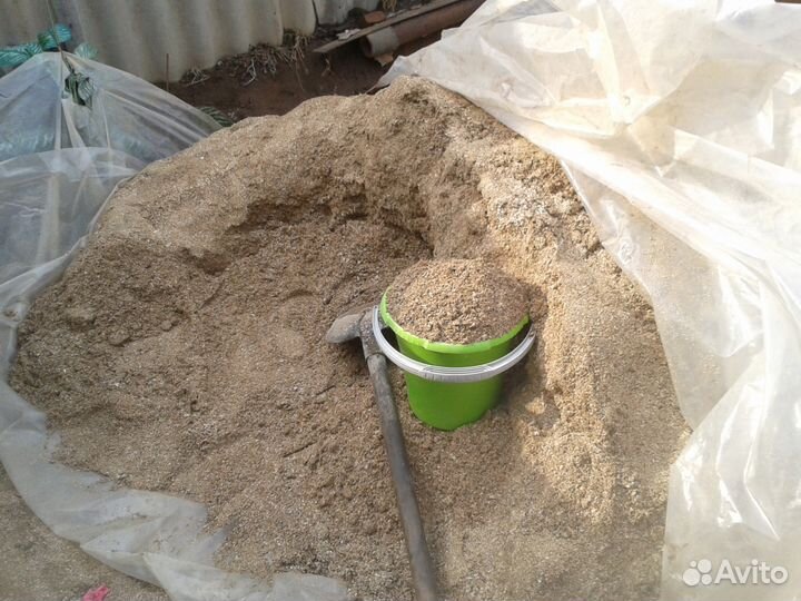 Ракушка не каспийская,речная,чистая