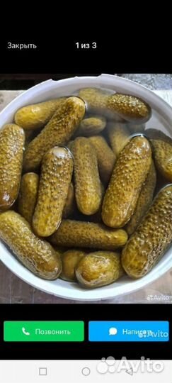 Огурцы