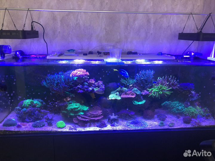 Светилтник для морского аквариума