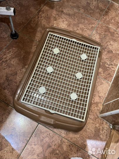 Туалет для собак