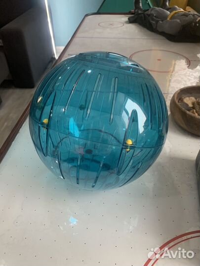 Шарик для грызунов