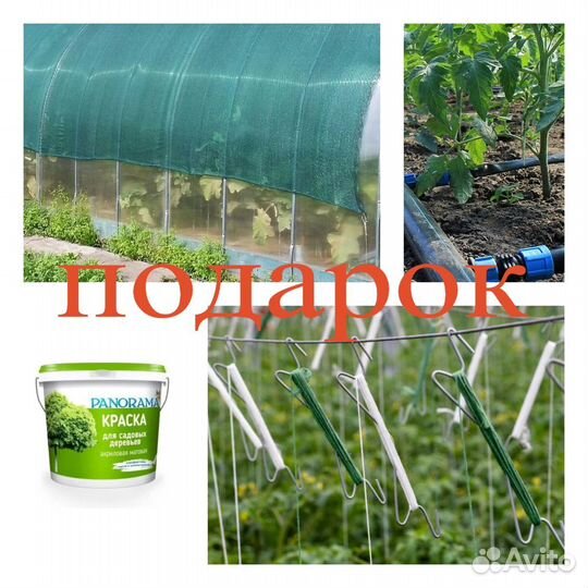 Теплица Прочный поликарбонат