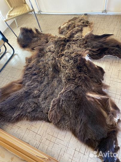 Шкура медведя имитация