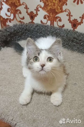 Машуня ищет семью